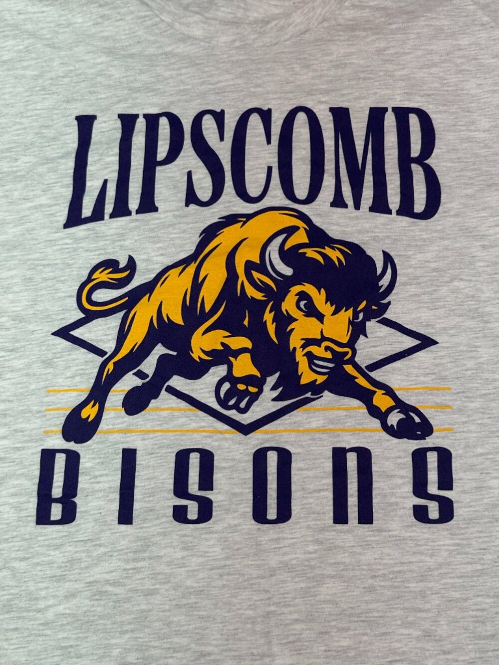 Lipscomb University Bisons T-Shirt Men's XL Hanes Gray Purple Gold NCAA